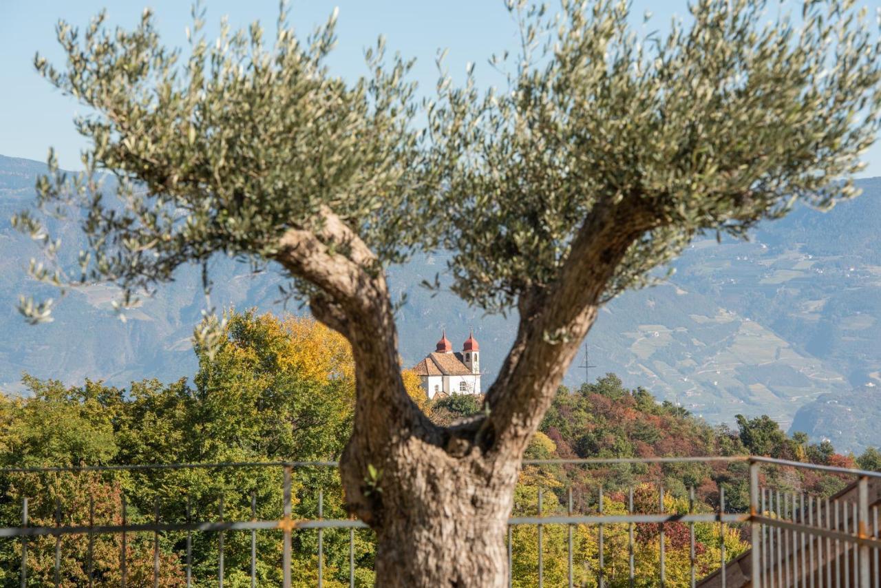 Nofnerhof Apartment Appiano Sulla Strada Del Vino Exterior foto