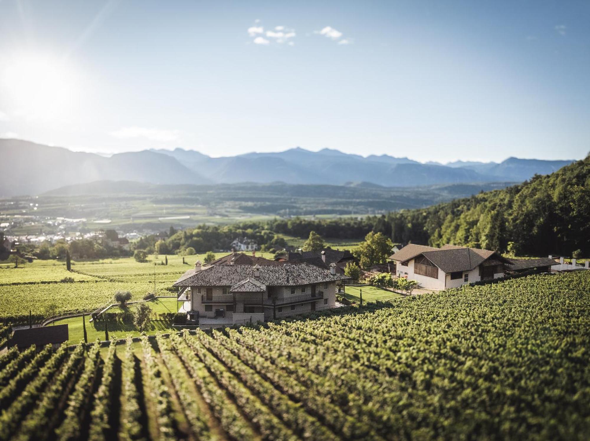 Nofnerhof Apartment Appiano Sulla Strada Del Vino Exterior foto